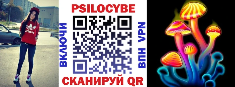 Псилоцибиновые грибы прущие грибы  KRAKEN ссылки  Ельня 